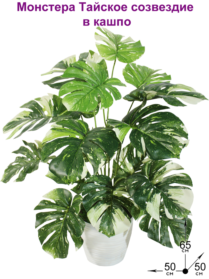 Искусственная Монстера Тайское созвездие 65см в кашпо