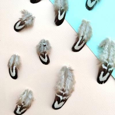 Перья черно-белого фазана 2-5 см. 10 шт.