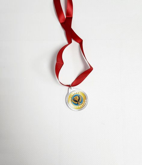 Медаль Лучший в мире брат