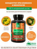Концентрат ДИКИЙ ЯМС