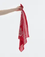 Бандана Anteater  Chess красная