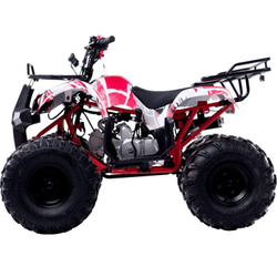 Квадроцикл WELS Thunder 125 Basic