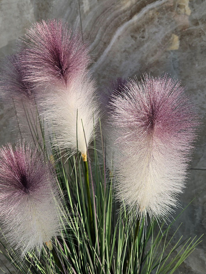 Трава Пампасная с лиловыми султанами 105см в кашпо