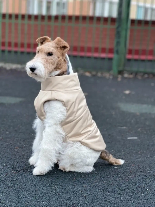 Жилет для собак мелких средних крупных пород такс