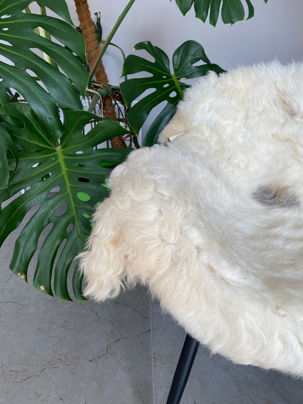 Шкура коврик меховой прикроватный овчина, 100х65 см.