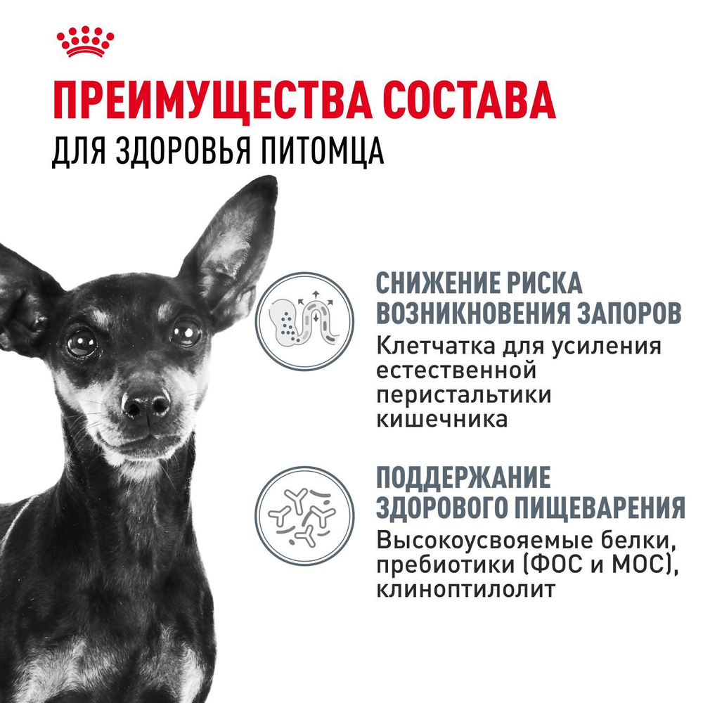 Royal Canin Mini Digestive Care Корм сухой для взрослых собак мелких размеров 3кг