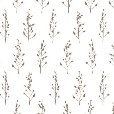 Ветки шиповника