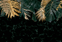 Коллекция Тропическое