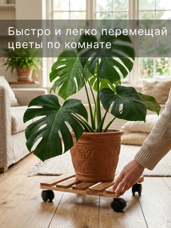 Подставка для цветов, 30х30х7, Флорэль, на колесиках, этажерка, напольное, на подоконник, полка, из массива дерева, коричневый, Dipriz