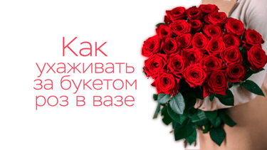 Как ухаживать за букетом роз в вазе?