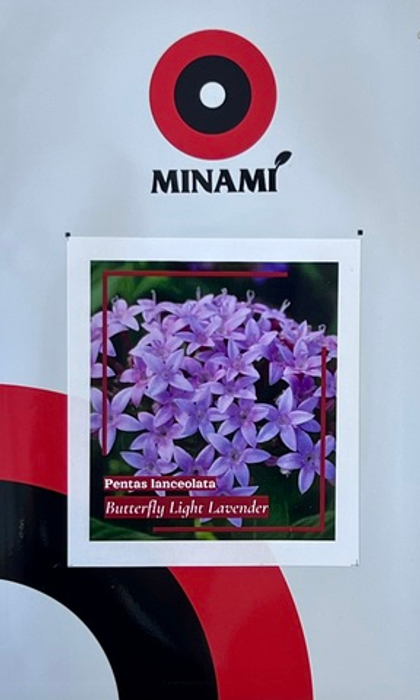 Пентас ланцетный Баттерфляй Лайт Лавендер 8шт.