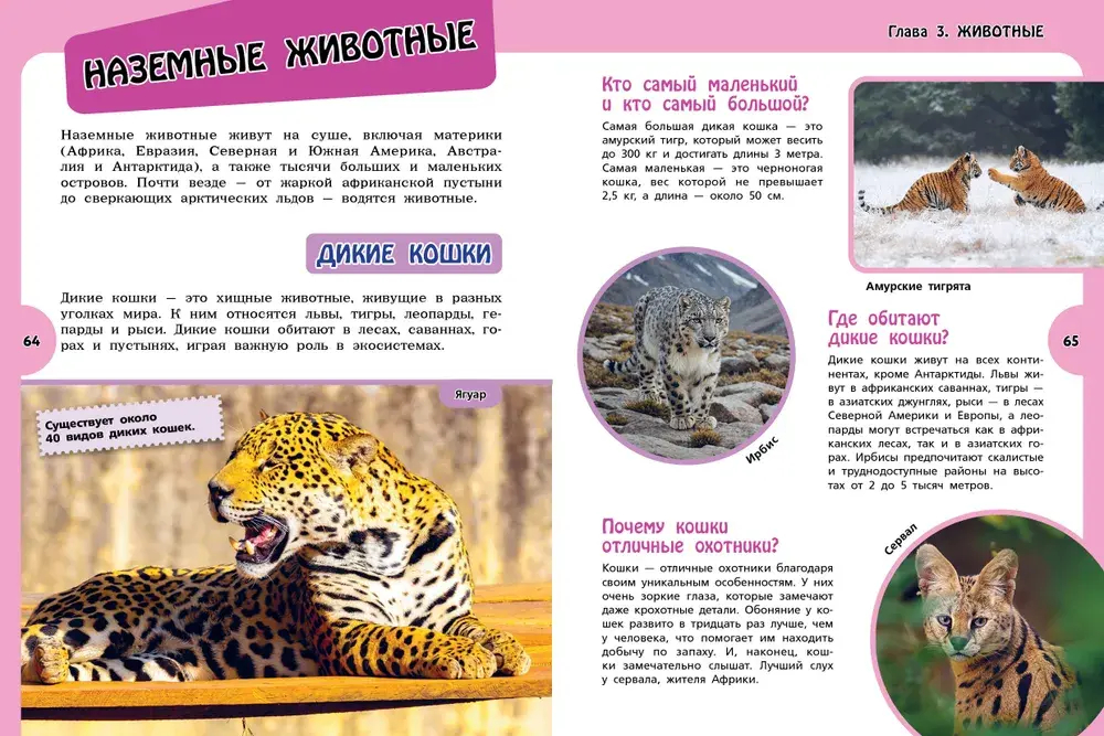 Большая энциклопедия для любознательных девчонок