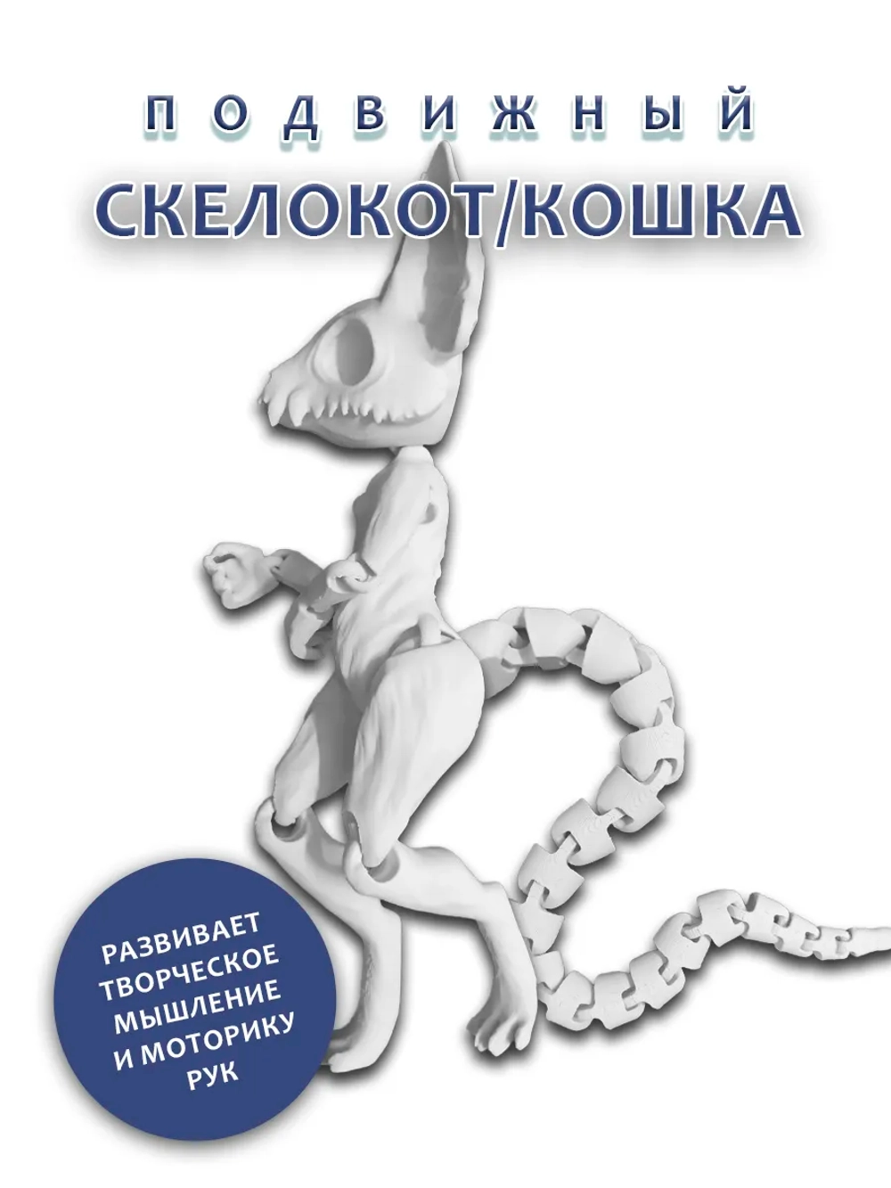 Скелет Кошки