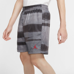 Шорты Jordan Legacy AJ11, CW0842-010