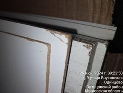 Шкаф 2x-дверный (НГ) ЭГО 80x51x202 Бетон Светлый/Камень Темный Дисконт (Невозвратный товар!)