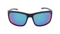 Очки солнцезащитные INVU IA22402E с чехлом