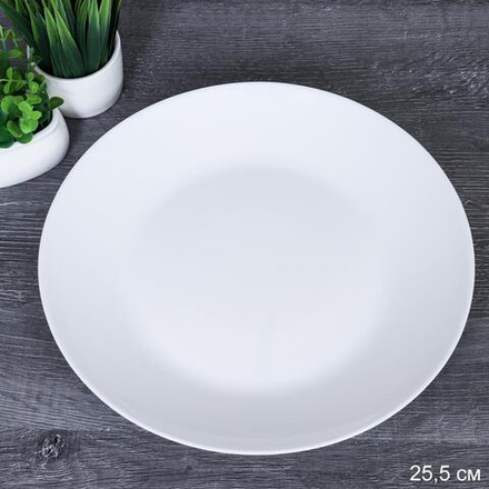 Тарелка 255 мм белая ЕВРО/ LMLPP100