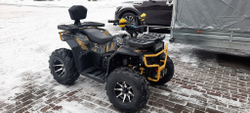 Квадроцикл бензиновый MOTAX GRIZLIK U200 LUX