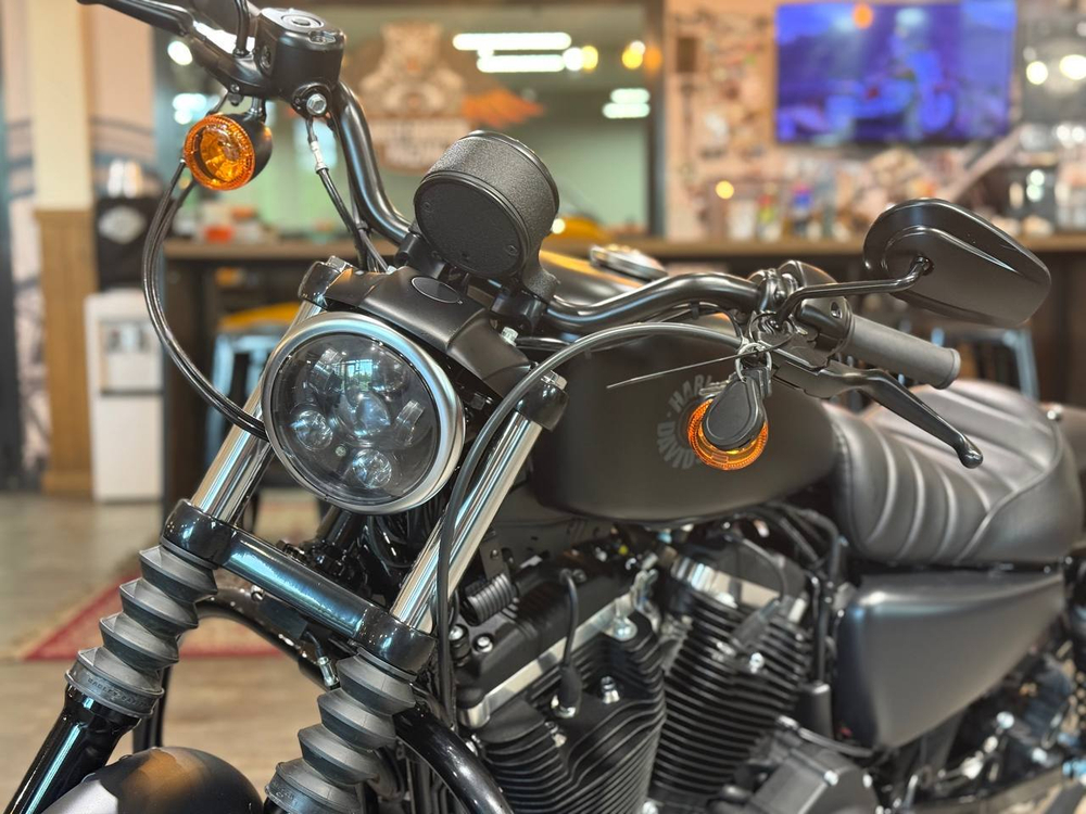 Harley-Davidson Iron 883 (2019)
