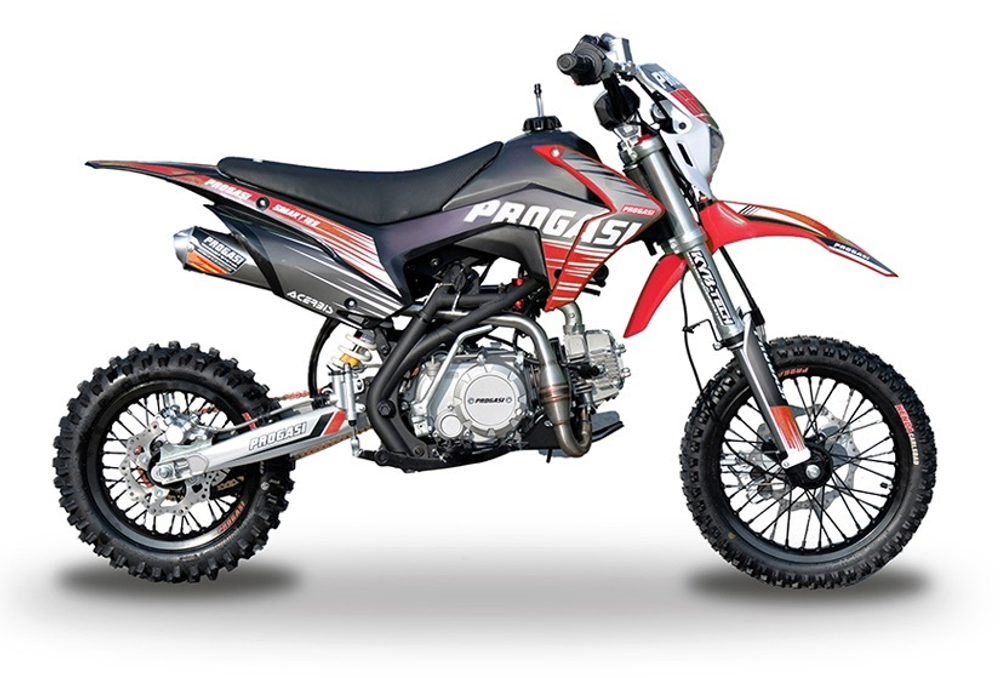 PROGASI SMART MINI 125