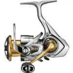 21 FREAMS FC LT 2000S