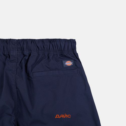 Брюки мужские Dickies Fishersville Pant артикул:DK0A4YSDDNX1 - купить в магазине Дайс