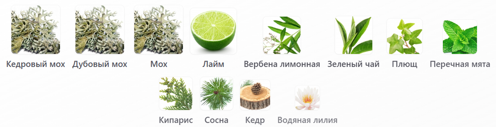Pineward Ivymoss 37 мл