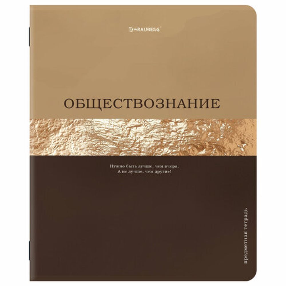 Тетради предметные, КОМПЛЕКТ 12 ПРЕДМЕТОВ, 48 л., матовая ламинация, фольга, BRAUBERG "GOLDY", 405178