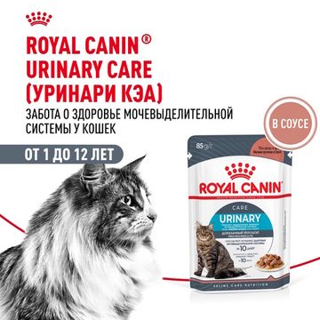 Royal Canin Urinary Care влажный корм для кошек и котов, обеспечивающее профилактику образования камней в мочевыводящих путях в 2р. через 10 дней 85 гр