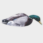 Кряква полевая 12 шт.