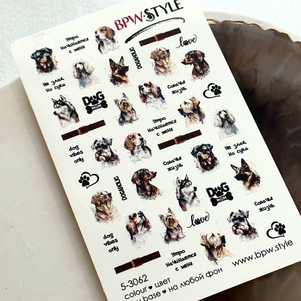 BPW Слайдер-дизайн Собачья жизнь