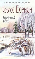 Серебряный ветер