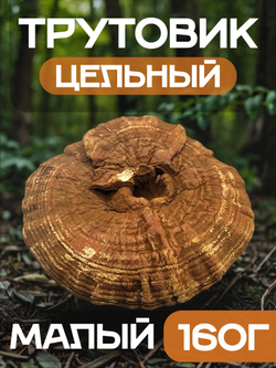 Трутовик плоский цельный (малый) 160г.