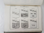"Рисунки гербам городов Российской Империи, принадлежащие к Первому Собранию Законов. Книга чертежей и рисунков"  1843 г.