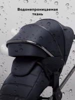 Коляска 2 в 1 Rant Falcon Therm