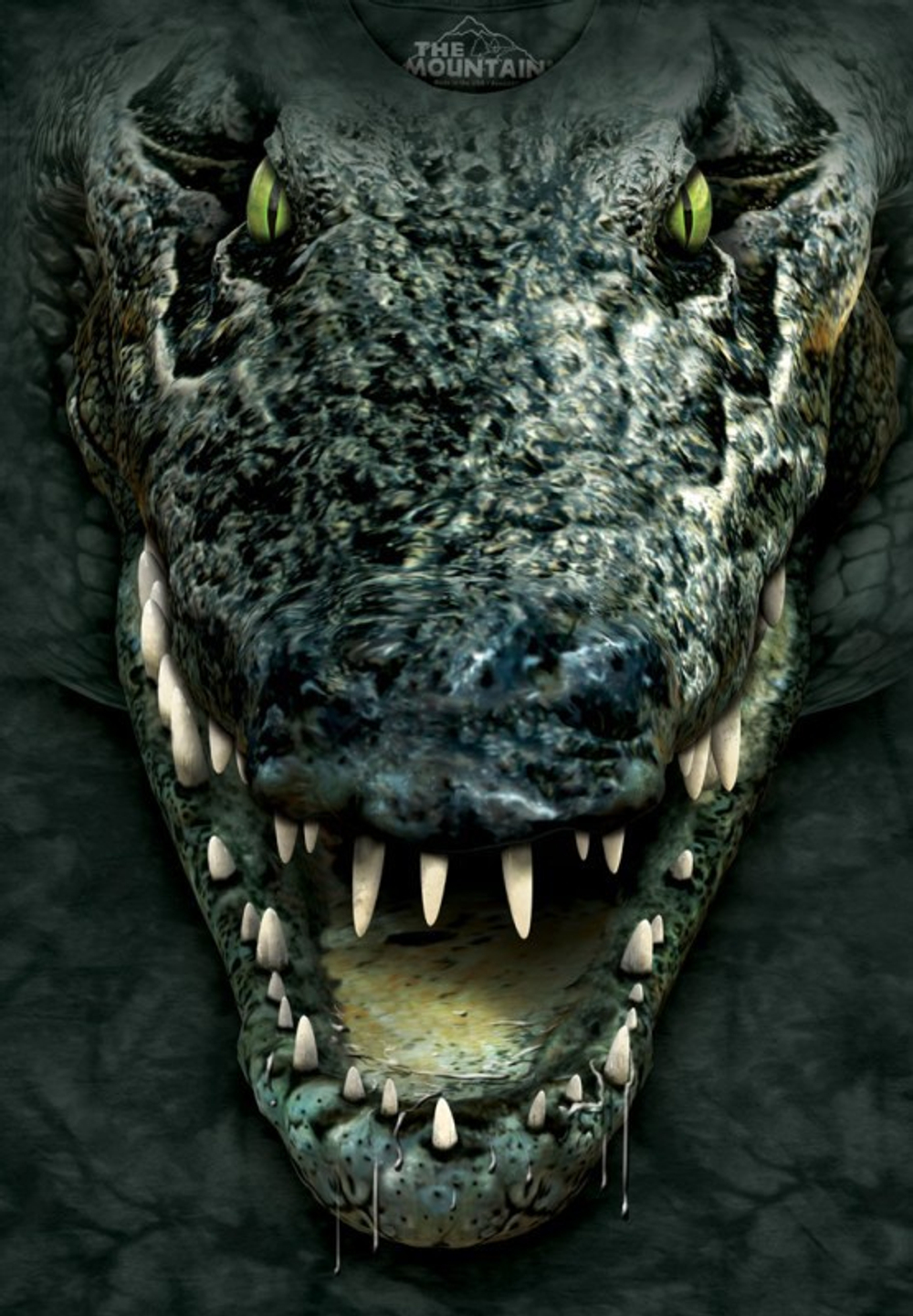 Gator Head
