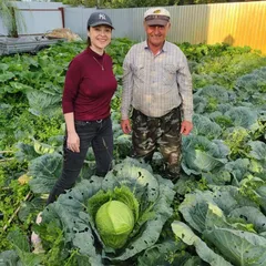 Капуста белокочанная молодая / 1 кг Капуста белокочанная молодая / 1 кг