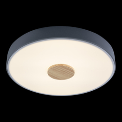 10003/24 Grey Потолочный светильник LOFT IT Axel