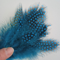 Перья цесарки голубые 2 сорт 15 шт.