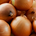 Банко семена лука репчатого (Syngenta / Сингента)