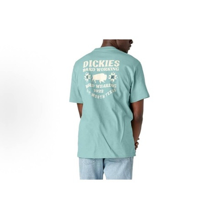 Футболка Dickies