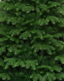 Искусственная елка Дворянская 180 см., 100% литая хвоя, ЕлкиТорг (93180)