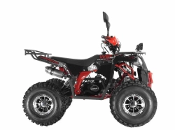 Квадроцикл Wels Thunder EVO X