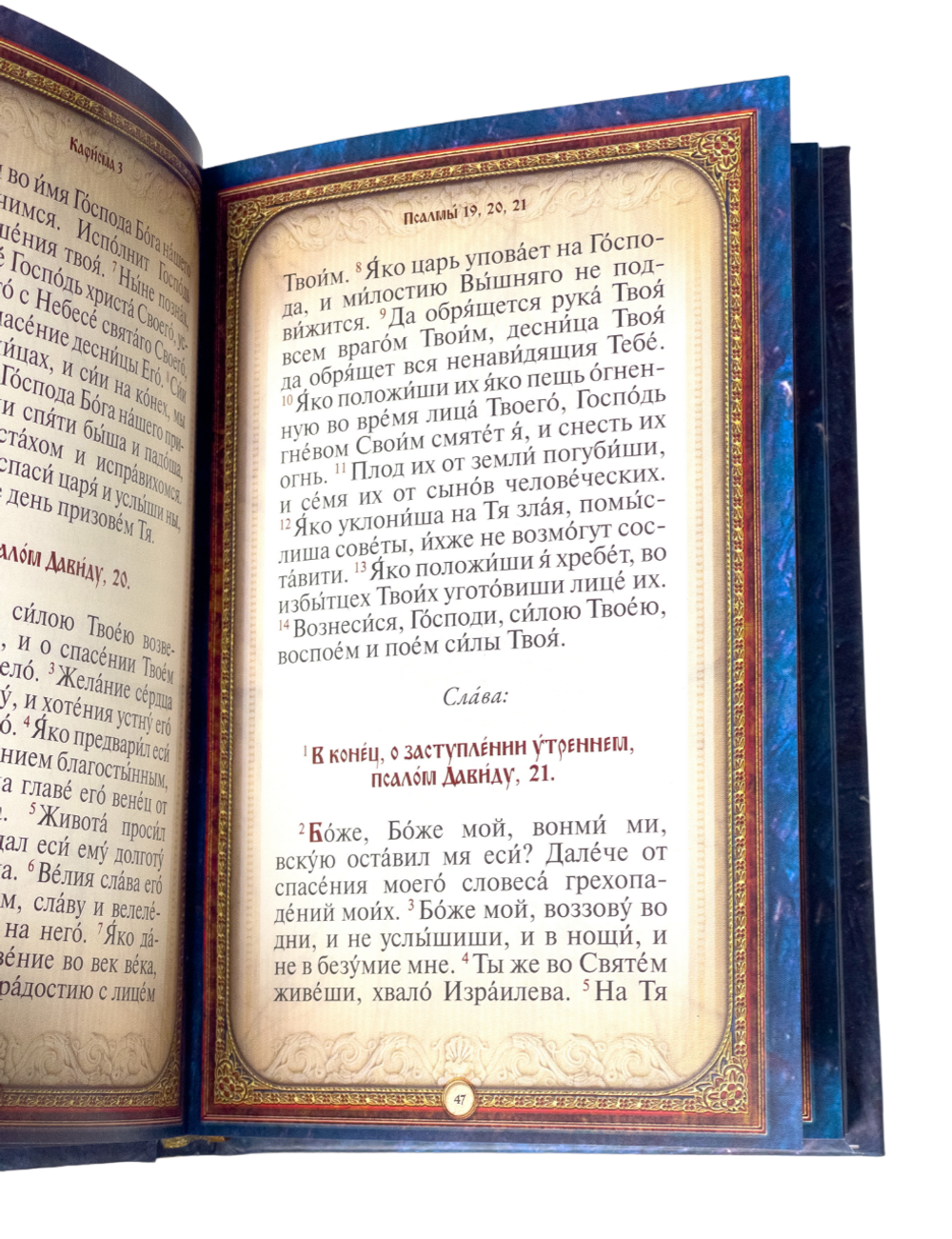 IMG_9013-PhotoRoom.png-PhotoRoom