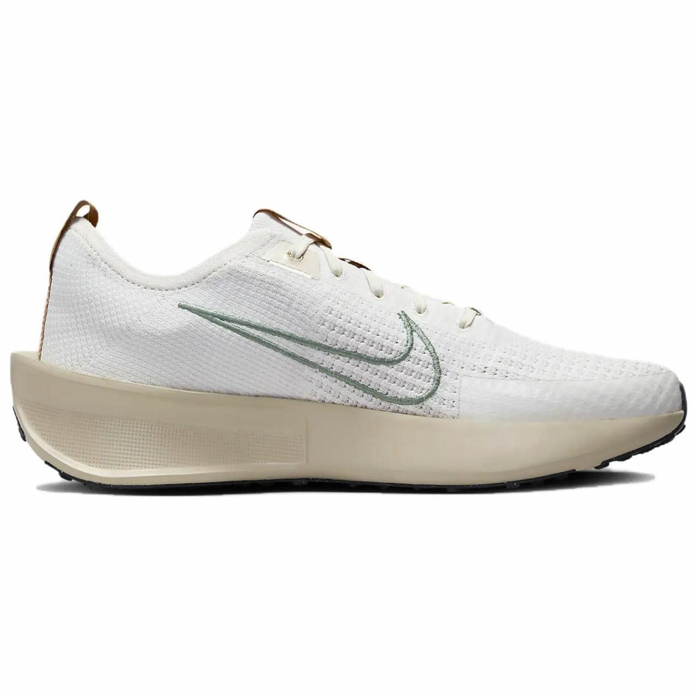Кроссовки Nike Interact Run