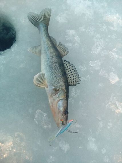 Балансир Lucky John VIKING 6 с тр. 60мм/15H блистер