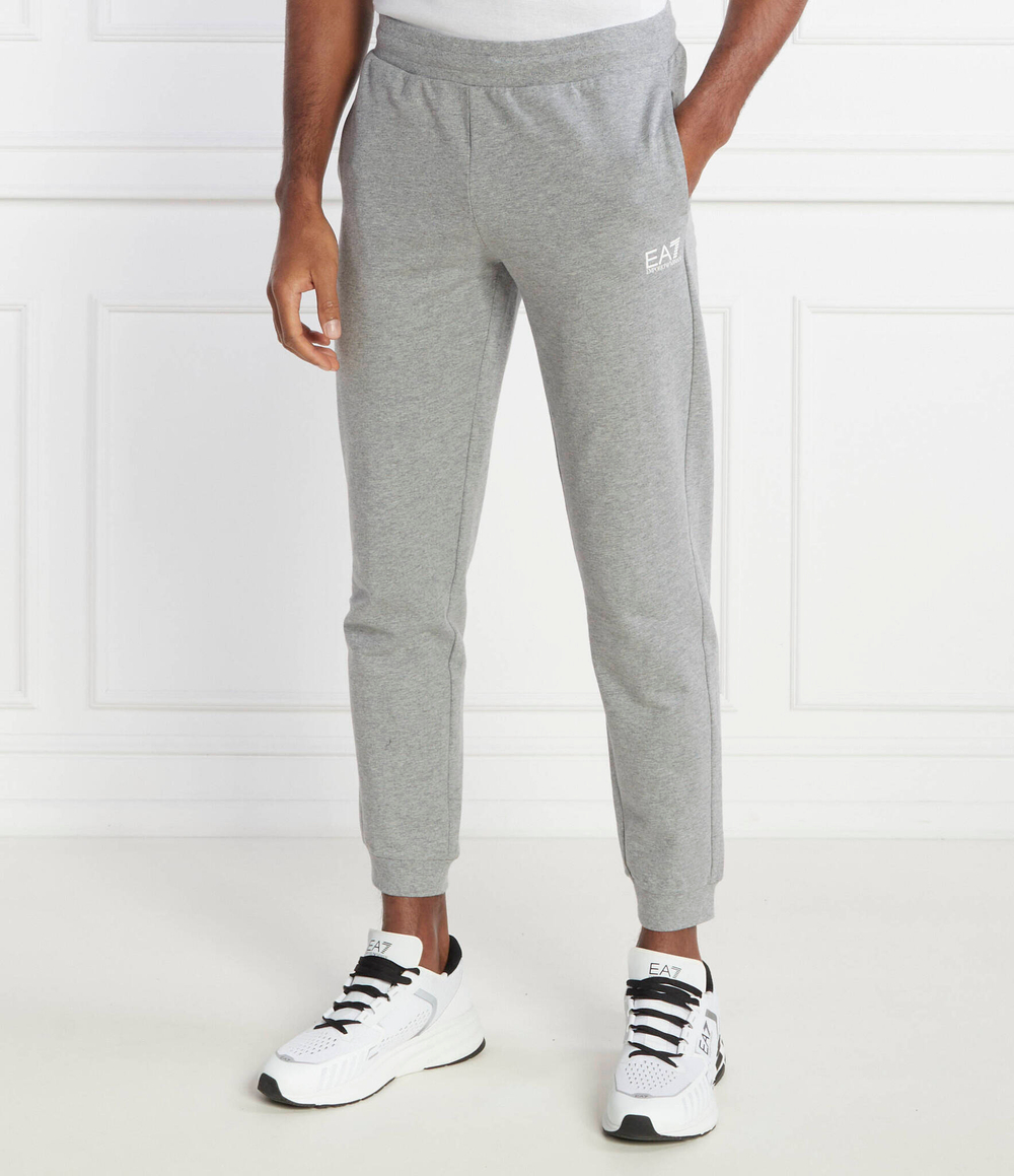 Спортивный костюм EA7 - серый(3DPV75 PJ05Z)