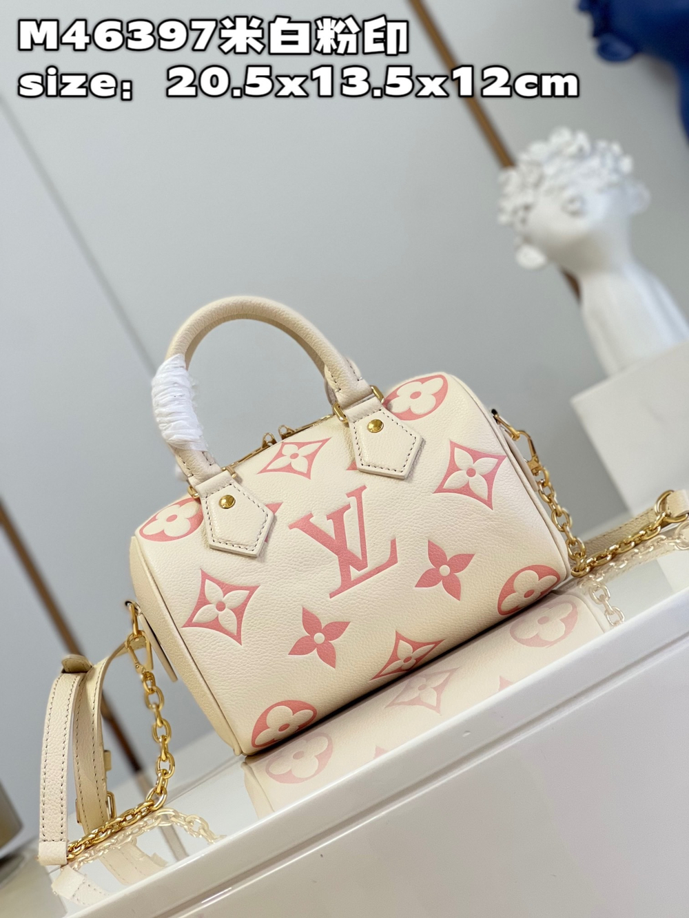 Louis Vuitton Speedy 20