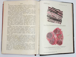 Eulenburg A., проф. Эйленбург А  Реальная энциклопедия практической медицины в XVII томах. 1909-1915