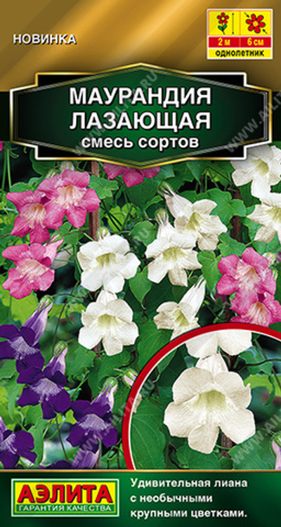 Маурандия лазающая, смесь сортов 5 шт (Аэлита)
